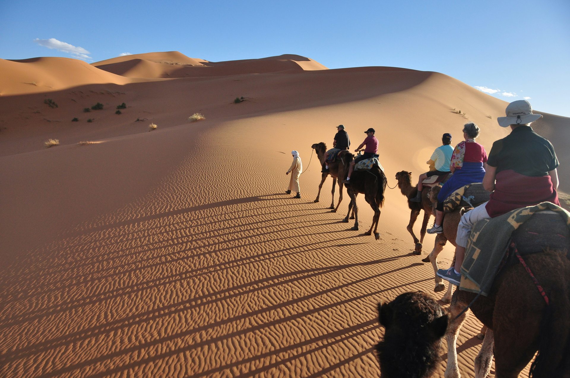 Camel trekking across the Erg Chebbi dunes near Merzouga