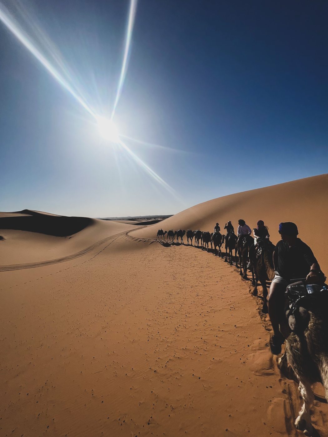 A line of camels crossing the desert dunes under the sun